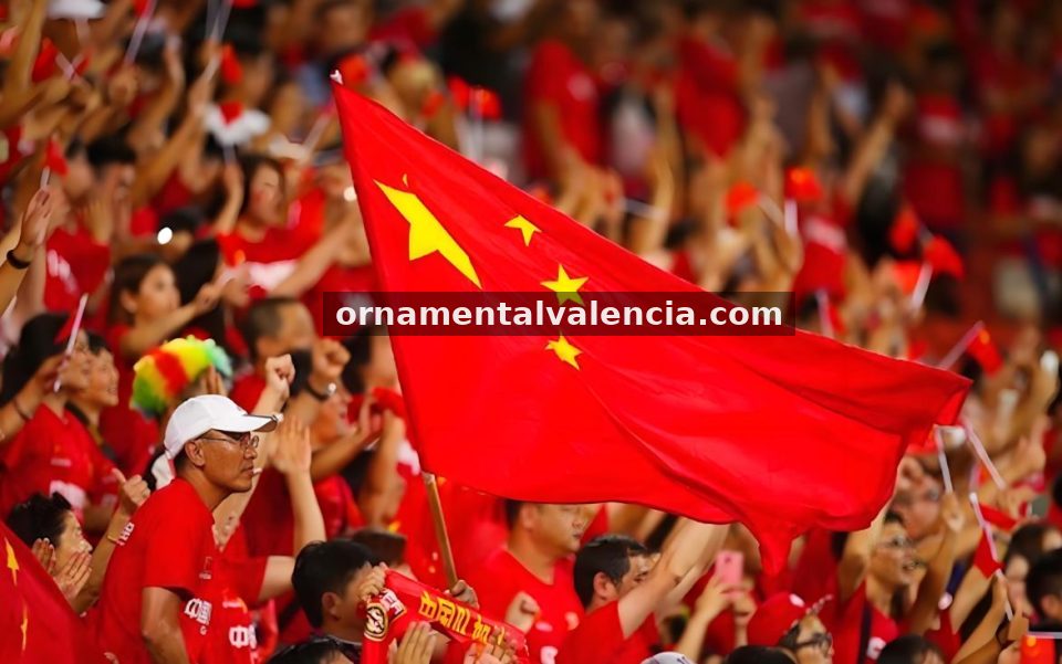 看个球 青训教练林晓禾：她把训练场变成了数据实验室