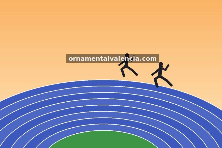 看个球 看懂门将出球路线图：从站位选择到传球网络，一套观赛入门指南